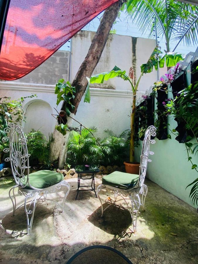 Acomodação com café da manhã  The Quetzal