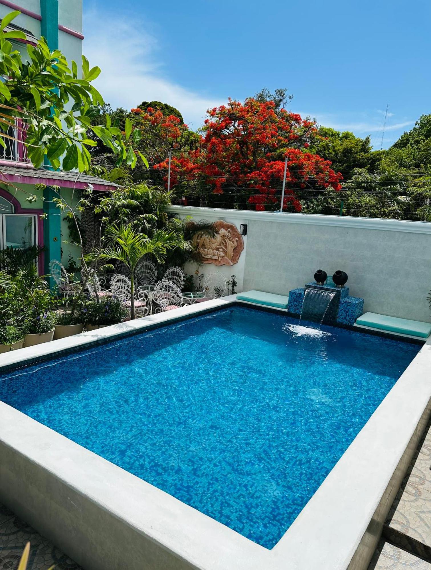 Bed & Breakfast The Quetzal *