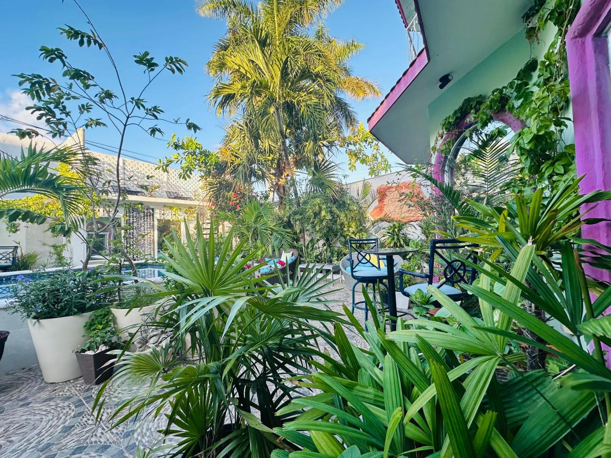 The Quetzal Bed & Breakfast